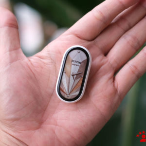 Smart Band 10 Ceramic