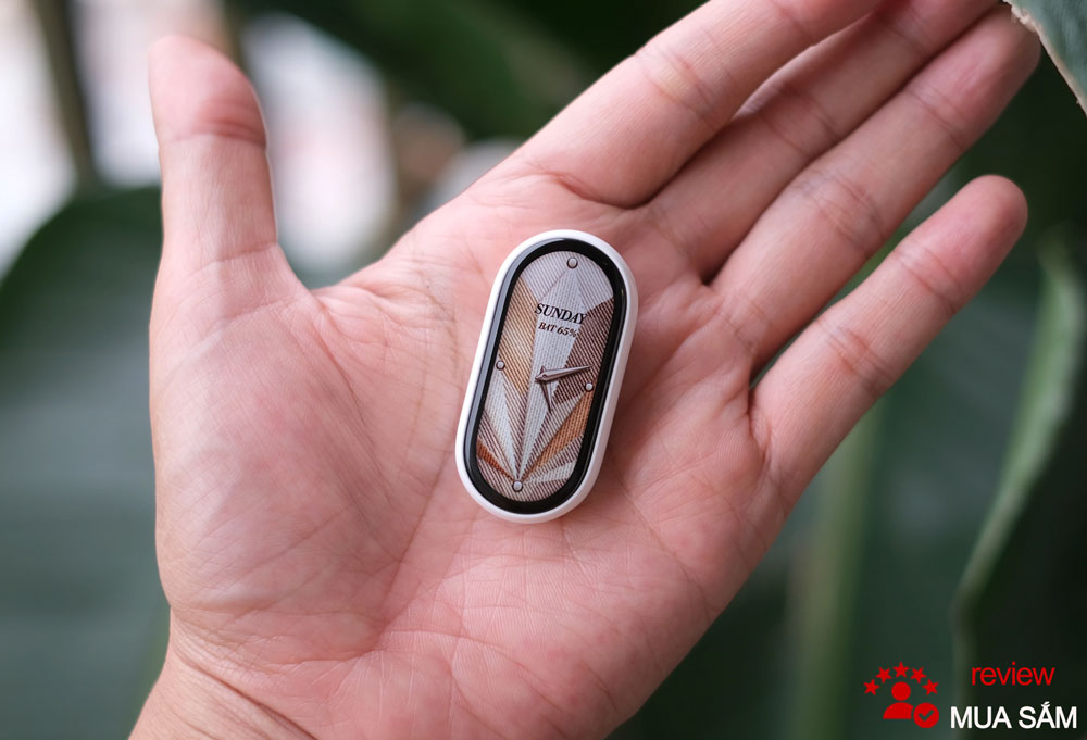 Smart Band 10 Ceramic