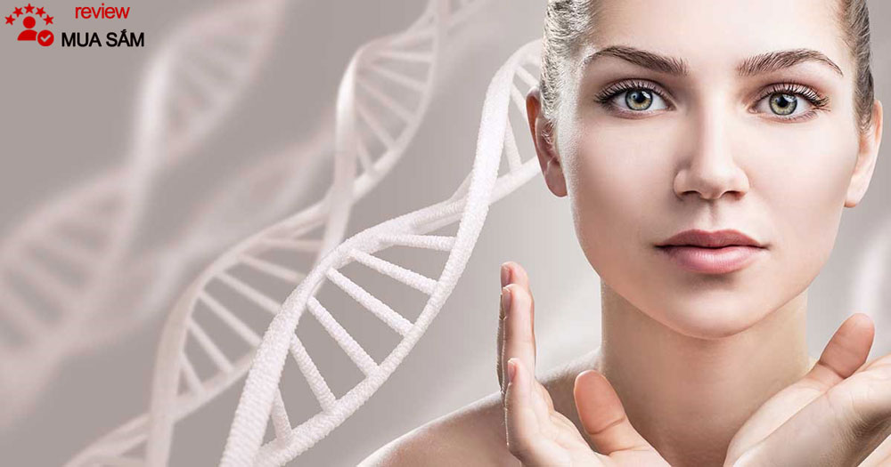 Collagen